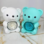 Eternal Rose Bear & Personalized Necklace