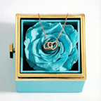 radial-gradient(ellipse farthest-corner at right bottom, #FEE3E1 0%, #F8C1B8 8%, #D6A69F 30%, #B48A7C 40%, transparent 80%), radial-gradient(ellipse farthest-corner at left top, #FFF5F4 0%, #FCD7D2 8%, #E3BAB3 25%, #9E6F66 62.5%, #9E6F66 100%) | https://cdn.shopify.com/s/files/1/0645/2186/3211/files/Blue-RoseGold.png?v=1764395187